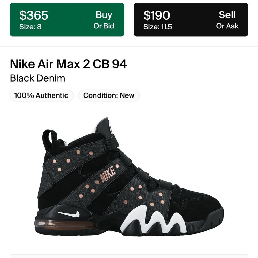 Nike Air Max 2 Charles Barkley 94